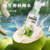 鲜椰水 | 100%椰子水 不加一滴水 甄选泰国国宝级香水椰 0脂低卡 好喝没负担富含电解质 高效补水 商品缩略图0