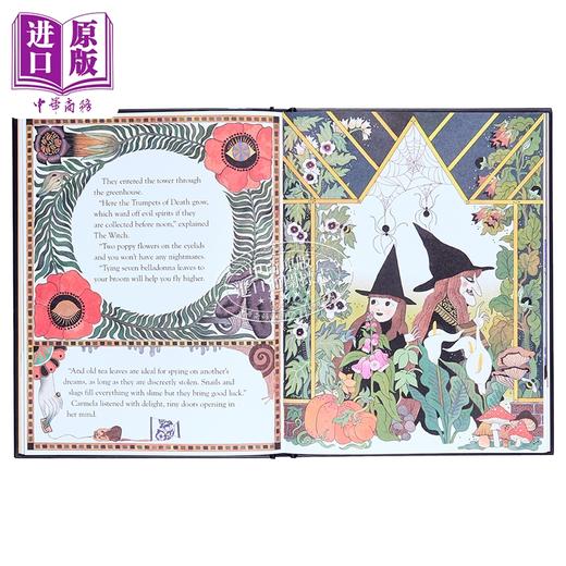 【中商原版】塔中的女巫 Julia Sarda The Witch in the Tower 英文原版 儿童绘本 图画故事书 进口书 精装 精品绘本 9岁以上 商品图4