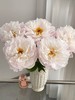精品芍药花典雅月光5支 商品缩略图3