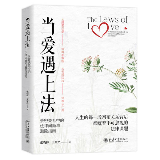 当爱遇上法：亲密关系中的法律问题与避险指南 张晓梅 王娅然 著   北京大学出版社 商品图3