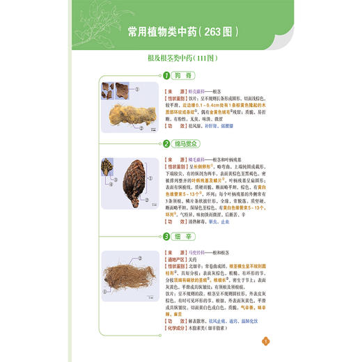 中药考点速记彩图手册 罗容 主编 国家执业药师职业资格考试 一本兼具实用性与指导性的备考学习资料 中国医药科技出版社 商品图4