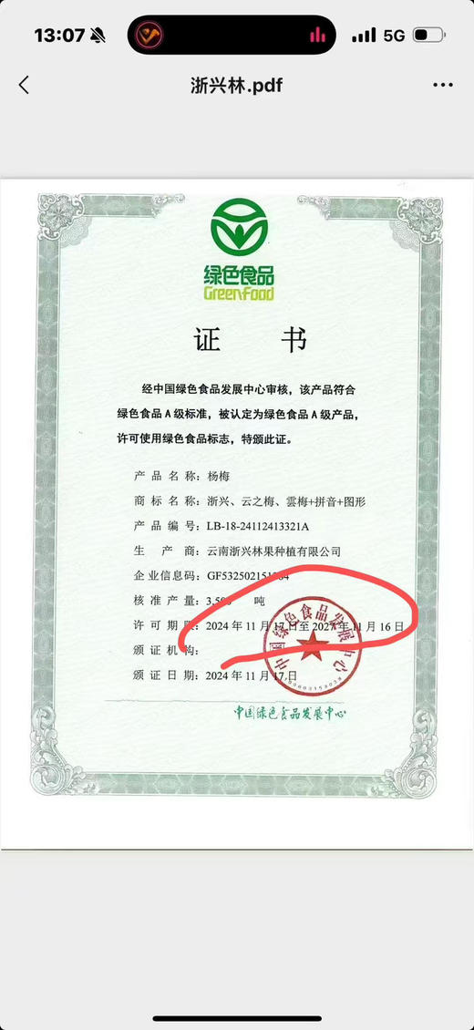 云南西双版纳东魁杨梅 绿色产品 商品图10