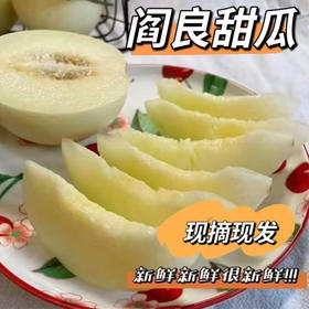陕西小籽阎良甜瓜（头茬）