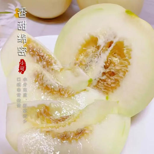 陕西小籽阎良甜瓜（头茬） 商品图1