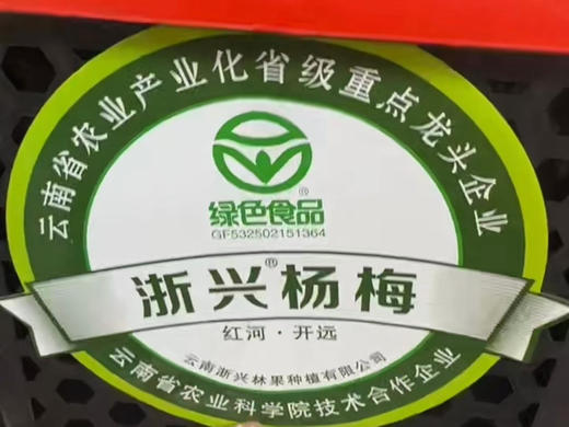 云南西双版纳东魁杨梅 绿色产品 商品图3