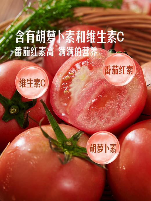 MM 山姆 有机大番茄 800g 商品图5