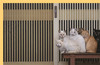 Neko: Cats of Japan / 日本猫 商品缩略图1