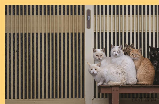 Neko: Cats of Japan / 日本猫 商品图1