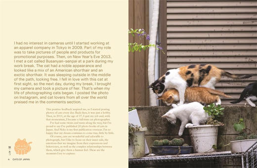 Neko: Cats of Japan / 日本猫 商品图4