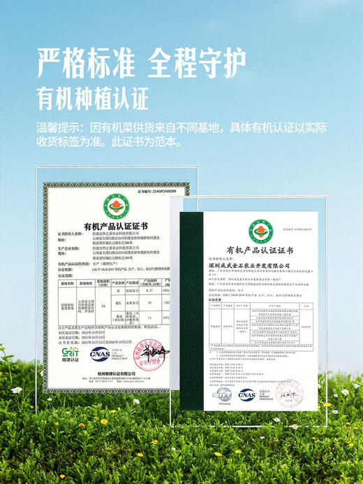 MM 山姆 有机大番茄 800g 商品图3
