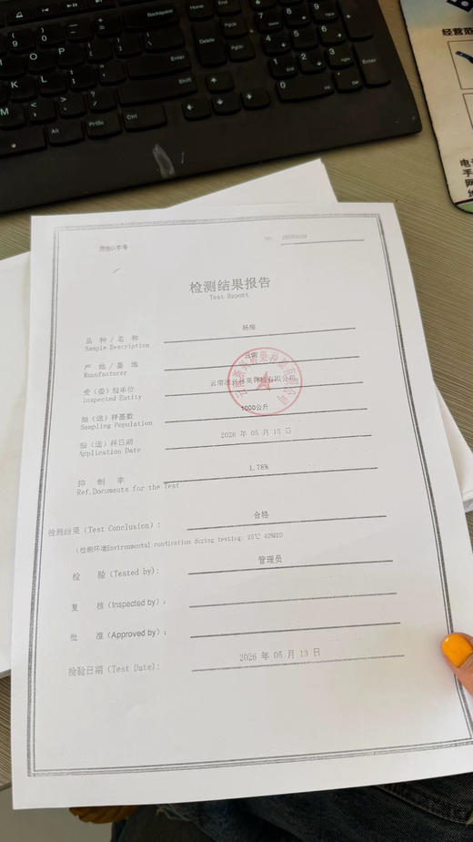 云南西双版纳东魁杨梅 绿色产品 商品图11