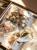 【给孩子的儿童节礼物】培养孩子观察力与耐心 纯天然植物种子标本DIY / 小巧酷炫 电动连发 动感灯光条水枪 玩具 商品缩略图2