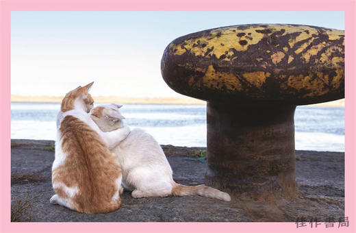 Neko: Cats of Japan / 日本猫 商品图2