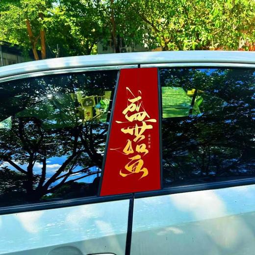 爱国励志汽车中柱装饰贴汽车必备个性创意B柱保护膜贴纸爆款通用 商品图3