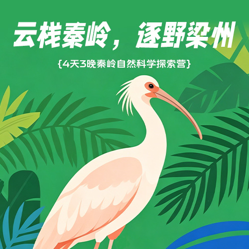 7.7/8.17首发亮相【陕西·秦岭4天3晚自然科学探索夏令营】云栈秦岭-逐野梁州：郭嘉级自然保护区导师带队·穿越干年古栈道·观测国宝朱鹮·深入素岭森林生态系统