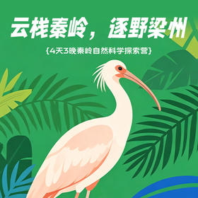 7.7/8.17首发亮相【陕西·秦岭4天3晚自然科学探索夏令营】云栈秦岭-逐野梁州：郭嘉级自然保护区导师带队·穿越干年古栈道·观测国宝朱鹮·深入素岭森林生态系统