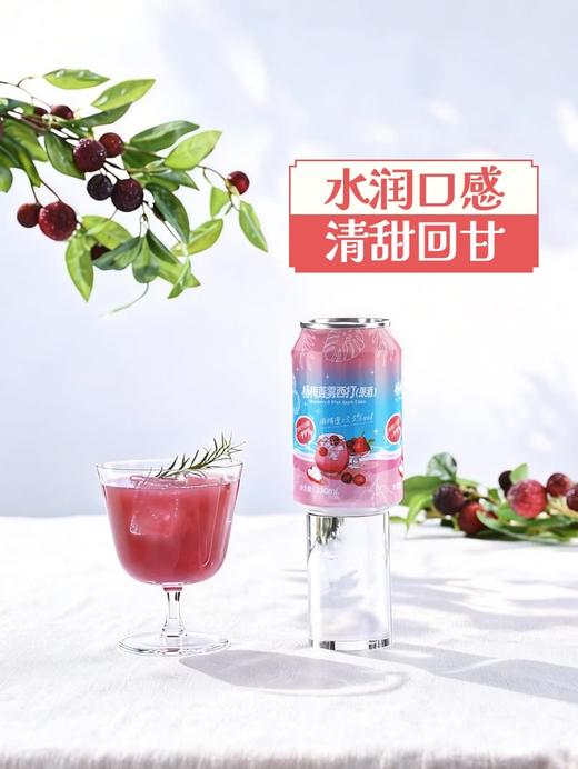 MM 山姆 无囿 杨梅莲雾西打（果酒）330ml*8 商品图3