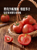 MM 山姆 有机大番茄 800g 商品缩略图2