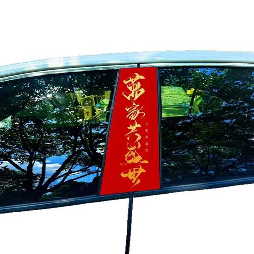 爱国励志汽车中柱装饰贴汽车必备个性创意B柱保护膜贴纸爆款通用 商品图1