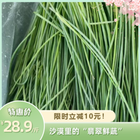 甘肃民勤沙葱 | 沙漠里的“翡翠鲜蔬” !一口脆嫩，满嘴清香 ! 葱味十足色泽深绿,凉拌开胃入馅提香!