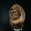 BC.CS5.14-9    马泥涝沉水（连年有余），6.69g 商品缩略图0