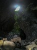 7.7/8.17首发亮相【陕西·秦岭4天3晚自然科学探索夏令营】云栈秦岭-逐野梁州：郭嘉级自然保护区导师带队·穿越干年古栈道·观测国宝朱鹮·深入素岭森林生态系统 商品缩略图10