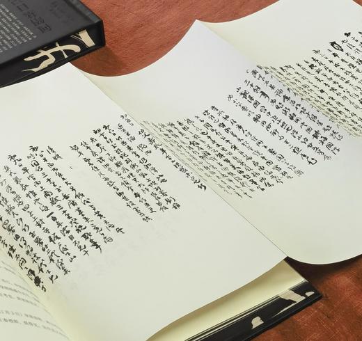 【限量特惠】刷边+编号典藏版《何绍基日记》，精装，16开，四册一函，何绍基著，岳麓书社2023年一版一印，定价1280元，售价678 商品图10