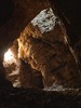 7.7/8.17首发亮相【陕西·秦岭4天3晚自然科学探索夏令营】云栈秦岭-逐野梁州：郭嘉级自然保护区导师带队·穿越干年古栈道·观测国宝朱鹮·深入素岭森林生态系统 商品缩略图9