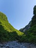 7.7/8.17首发亮相【陕西·秦岭4天3晚自然科学探索夏令营】云栈秦岭-逐野梁州：郭嘉级自然保护区导师带队·穿越干年古栈道·观测国宝朱鹮·深入素岭森林生态系统 商品缩略图1