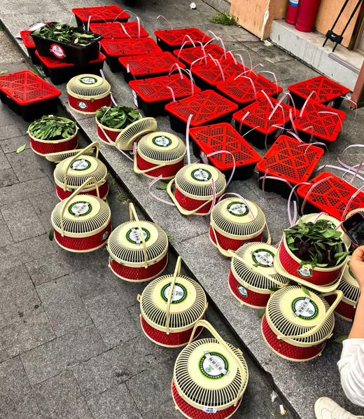 云南西双版纳东魁杨梅 绿色产品 商品图12