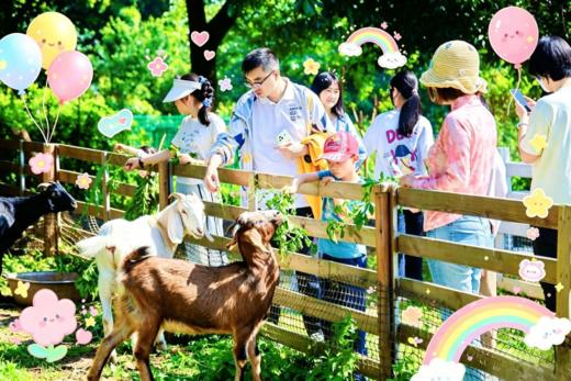 5.30/5.30/6.1【蒲江花涧和鸣蓝莓谷】亲子一日营：丛林冒险家+一日趣玩两大主题：吃自助烧烤；小鸟神射手、水果缤纷连连看、鸭鸭圈套大作战；尖叫秋千、丛林攀树、悬崖坡降、老树溜索、竹林迷踪…… 商品图6