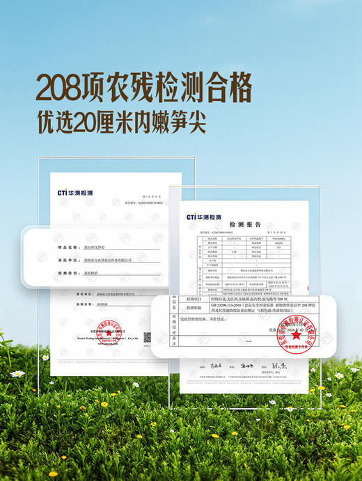 MM 山姆 高山罗汉笋尖 900g 商品图3