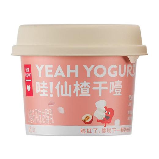 乐纯100g仙楂干噎酸奶山楂味 商品图0