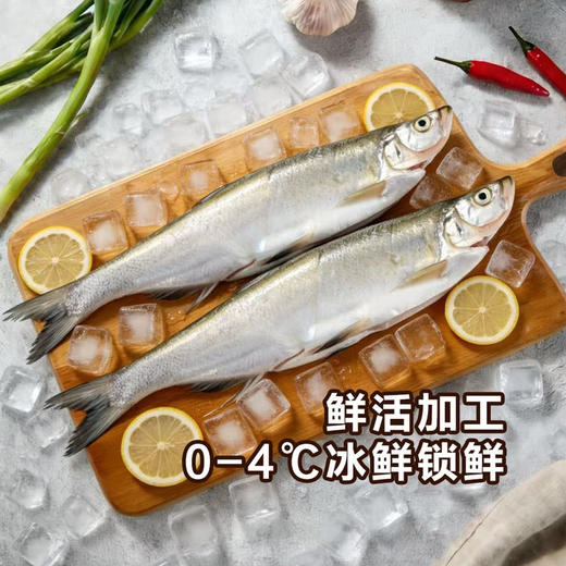 MM 山姆 千岛湖白水鱼2条 1kg 商品图2