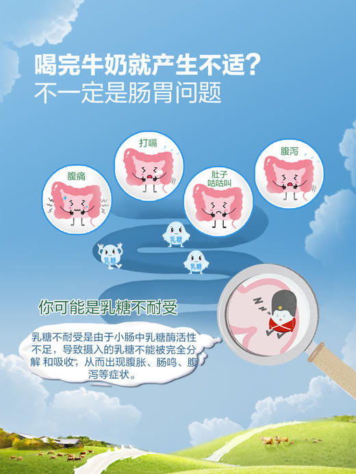 MM 山姆 Arla无乳糖全脂牛奶 200ml*24 商品图4