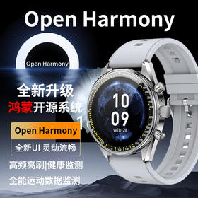 Sayrelances塞尔兰斯 Watch 9 Pro智能手表 开源鸿蒙OS系统+海思旗舰芯片 金属精工表壳 IP68级防水 心率/血氧/睡眠监测 多种运动模式