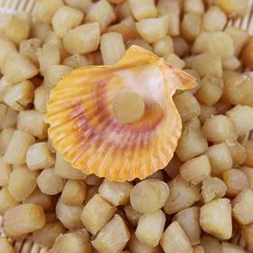 野生黄金贝