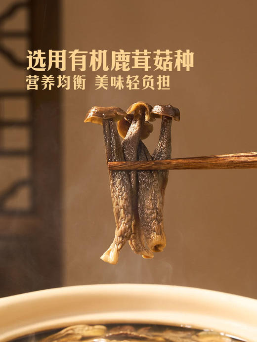 MM 山姆 Member's Mark 精选有机鹿茸菇 400g 商品图4