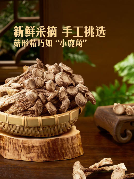 MM 山姆 Member's Mark 精选有机鹿茸菇 400g 商品图3
