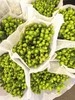 国产绿豆一扎 商品缩略图1