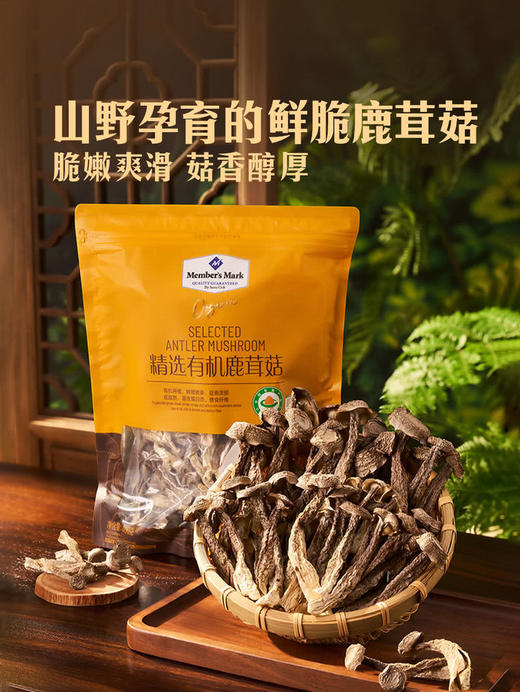 MM 山姆 Member's Mark 精选有机鹿茸菇 400g 商品图1