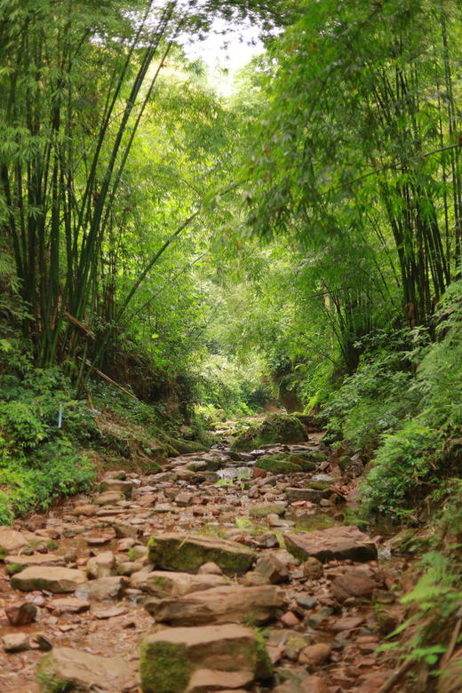 5.24【邛崃-山水夹关|皮缝峡谷亲子徒步】游览夹关古镇，古镇亲子游玩，坐竹筏，看吊脚楼，皮缝峡谷3公里亲子玩水环线，看清代石拱桥，玩水捞小虾 商品图10