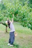 立减40！5.30嗨玩六一【天府新区-桃李淘气钓龙虾】去桃林摘桃子，制作美食饮料，趣味钓小龙虾，制作龙虾披萨，亲子互动游戏：彩虹玉米粉大作战 商品缩略图5