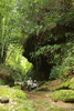5.24【邛崃-山水夹关|皮缝峡谷亲子徒步】游览夹关古镇，古镇亲子游玩，坐竹筏，看吊脚楼，皮缝峡谷3公里亲子玩水环线，看清代石拱桥，玩水捞小虾 商品缩略图3