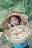 立减40！5.30嗨玩六一【天府新区-桃李淘气钓龙虾】去桃林摘桃子，制作美食饮料，趣味钓小龙虾，制作龙虾披萨，亲子互动游戏：彩虹玉米粉大作战 商品缩略图1