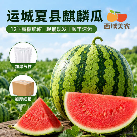 【顺丰！】西域美农 美都麒麟瓜西1个  甘甜多汁 商品图1