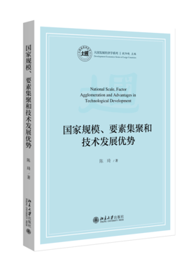国家规模、要素集聚和技术发展优势  大国发展经济学系列  陈琦 著  北京大学出版社