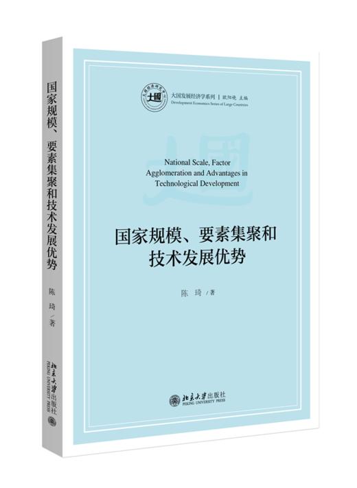 国家规模、要素集聚和技术发展优势  大国发展经济学系列  陈琦 著  北京大学出版社 商品图0