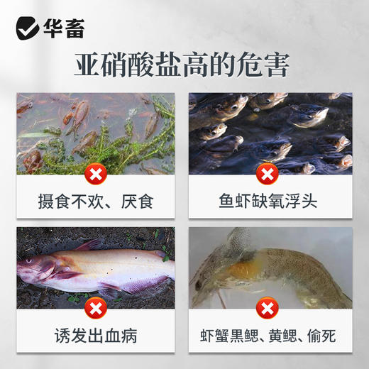 华畜亚硝克500g 降解亚硝酸盐 商品图1