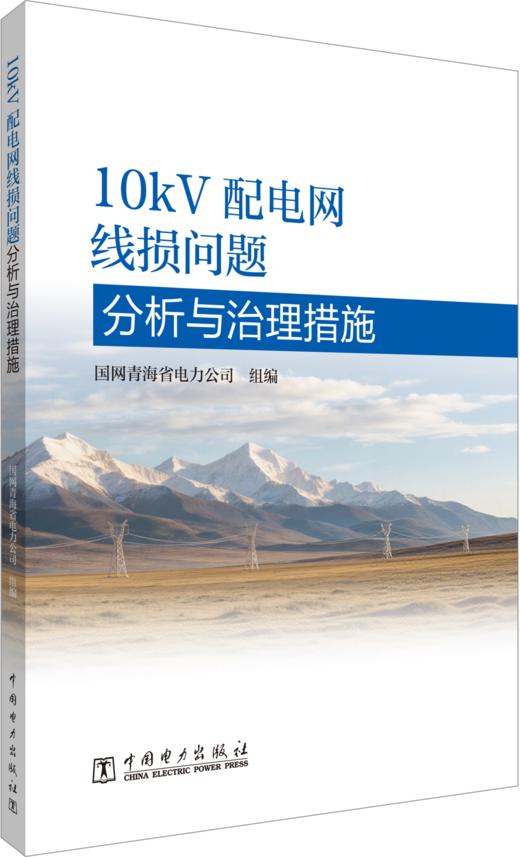 10kV配电网线损问题分析与治理措施 商品图0
